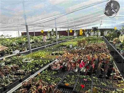 Ponovni obisk vrtca naših mednarodnih strank